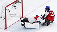 �eský parahokejista Radek Zelinka se prosazuje v utkání proti Slovensku.