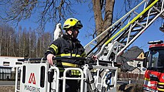 Hasi� dle pokyn� paní majitelky ve vý�ce natáhl pa�i sm�rem k papou�kovi a ten...