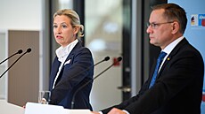 Spolup�edsedové n�mecké strany Alternativa pro N�mecko (AfD) Alice Weidelová a...