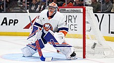 Branká� New York Islanders David Rittich sleduje hru p�ed sebou b�hem utkání...
