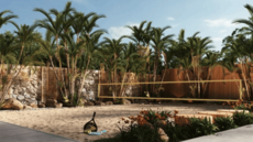 Investi�ní apartmány na Mallorce s jistotou výnosu