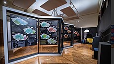 Ná�e�í �eského jazyka jsou bohatým a zárove� k�ehkým d�dictvím minulých...