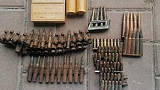 Zbran�, které lidé nosí policii k zbra�ové amnestii, jsou r�zné. (4. b�ezna...