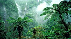 Réunion je francouzský ostrov v Indickém oceánu, kde se tropická p�íroda...