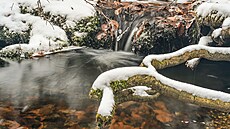 Nau�ná stezka nitrem rezervace nabízí seznámení s bukovým lesem z r�zných...