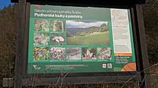 Fialové jaterníky, ale t�eba také b�lostné sn�enky lze nyní nalézt nap�íklad v...