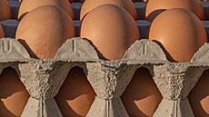 Co znamenají �ísla na vejcích a pro� by vás m�la zajímat?