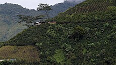 Pohled na kávové plantá�e v Planadas v oblasti Tolima (25. �íjna 2021)