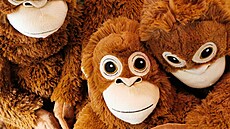 ilustra�ní snímek