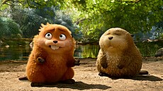 Z filmu Na skok do divo�iny