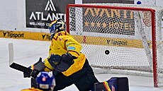 Puk po st�ele Libora Zábranského z Komety kon�í v síti �eských Bud�jovic.