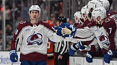 Martin Ne�as slaví gól se spoluhrá�i z Colorado Avalanche.