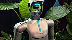 Humanoidní robot Honor