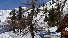 Fotografie z dovolené Evy Pavlové a Petra Pavla z rakouských Alp. (3. b�ezna...