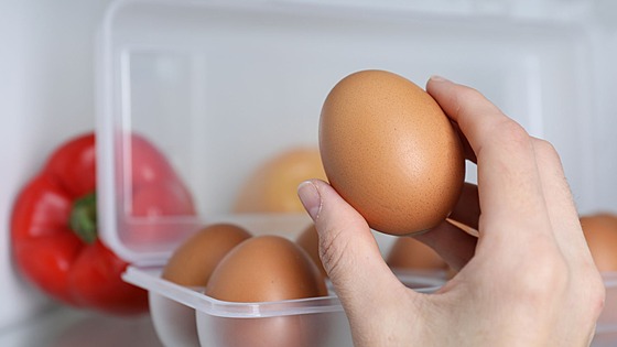 ilustra�ní snímek