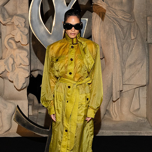 Jak to vypadá, když se celebrity blýsknou na týdnu módy v Paříži