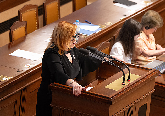 Schválení rozpočtu rozváže vládě ruce, poroste tempo zadlužení, míní analytici