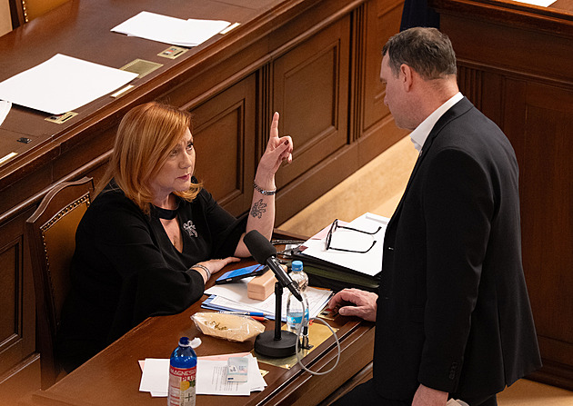 Poslanci projednají změnu zákona o účetnictví, která má zjednodušit odpisy