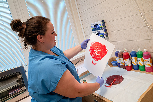 Symbolický strom života z placenty. Porodnice nabízejí maminkám nový rituál