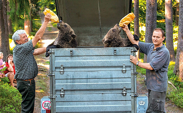 Slepí a hluší špunti, taková větší morčata. Chaloupek o tom, jak k medvíďatům přišel