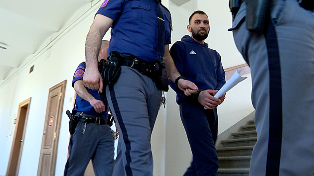 Řek uškrtil spolubydlící seniorku kabelem od kulmy, dostal 17 let a vyhoštění