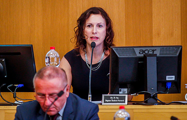 Budu znovu kandidovat, potvrdila budějovická primátorka. Teď už za Naše Česko