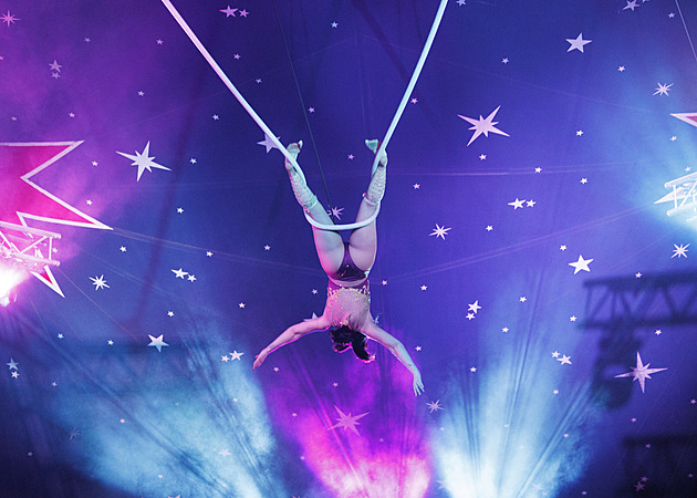 OBRAZEM: Kousavý velbloud i sloní jedlík. Nejtěžší jsou pro slavný cirkus přesuny