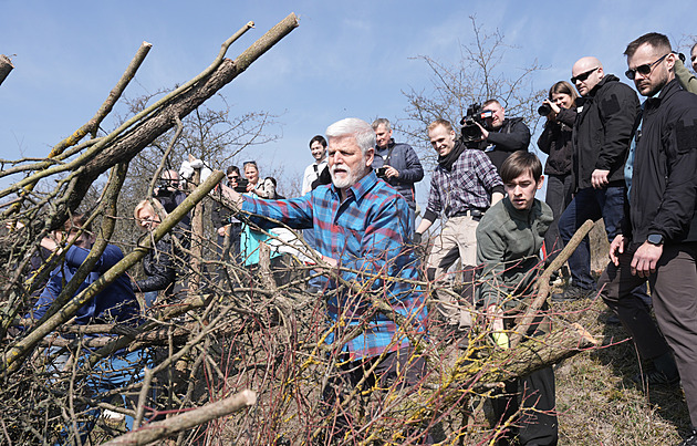 Pavel zkontroloval kasárny, pak si v přírodní rezervaci zkusil odštípnout pár větví