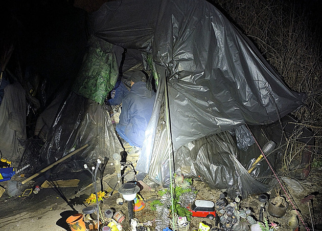 Stan zarostlý křovím ukrýval zanedbané malé děti, s matkou a druhem tam žily měsíce