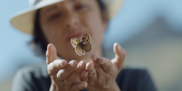 Expedice za vzácným motýlem. Dovedla ji na Kavkaz a ke vzpomínkám na otce
