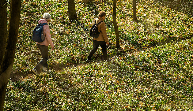 Návštěvníky až lituji, říká Kinský coby průvodce zámkem. Synovi svěří lesy