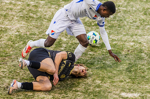 Trávník na stadionu v Hradci je na odpis. Klub patrně pořídí hybrid za miliony