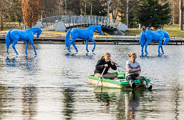 Sousoší Tří modrých koní v parku v Hradci zůstává, povolení už senátor má