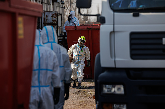 Veterináři prověřují šíření chřipky skrz firmu Perena. Pomůže očkování?