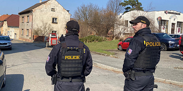 Úředníci v Rokycanech zabavují lvy a pumu z nelegálního chovu, odvezou je do zoo