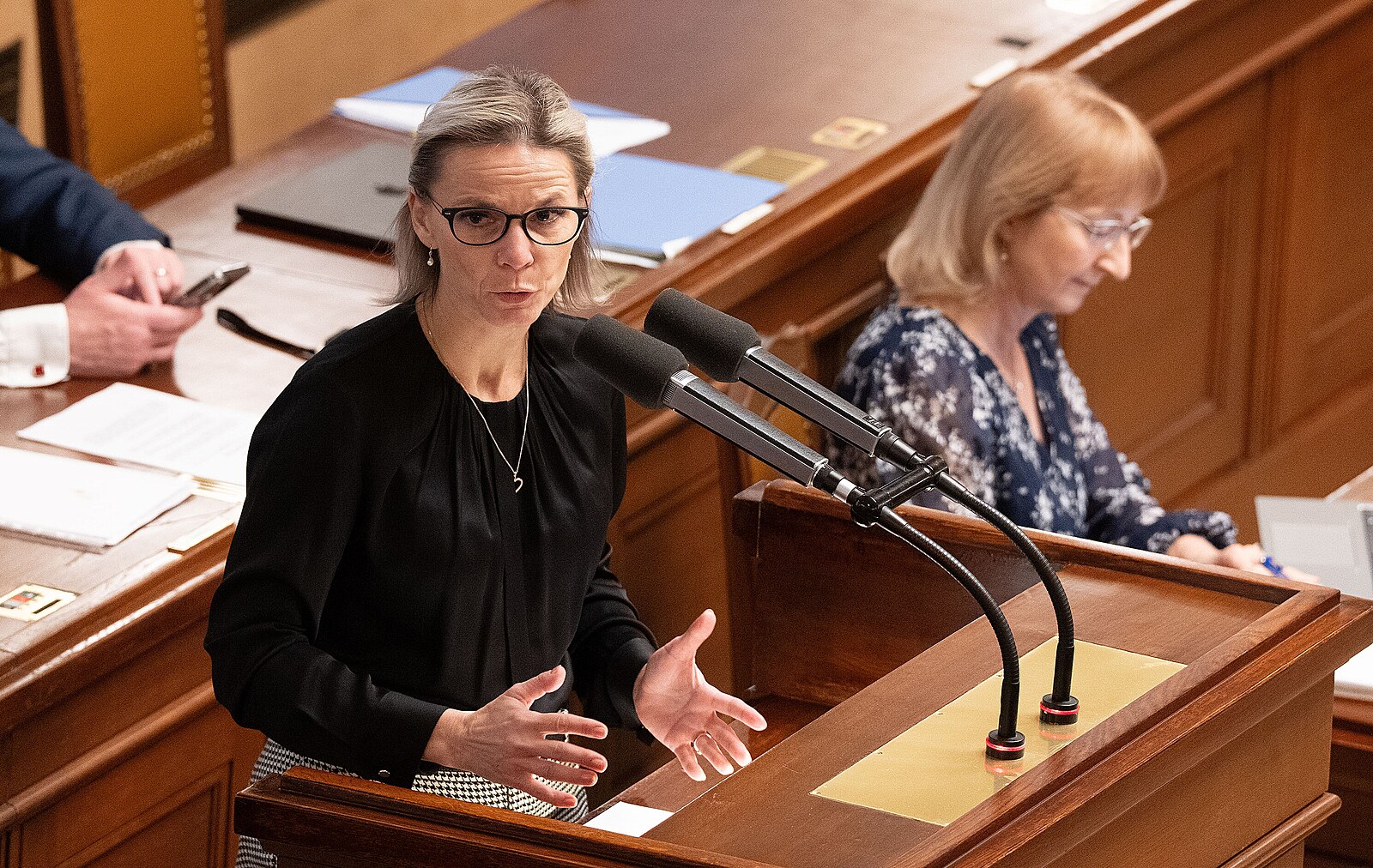 Zločin levného bydlení se vrací. Bude Babišova ministryně Mrázová první popravenou?