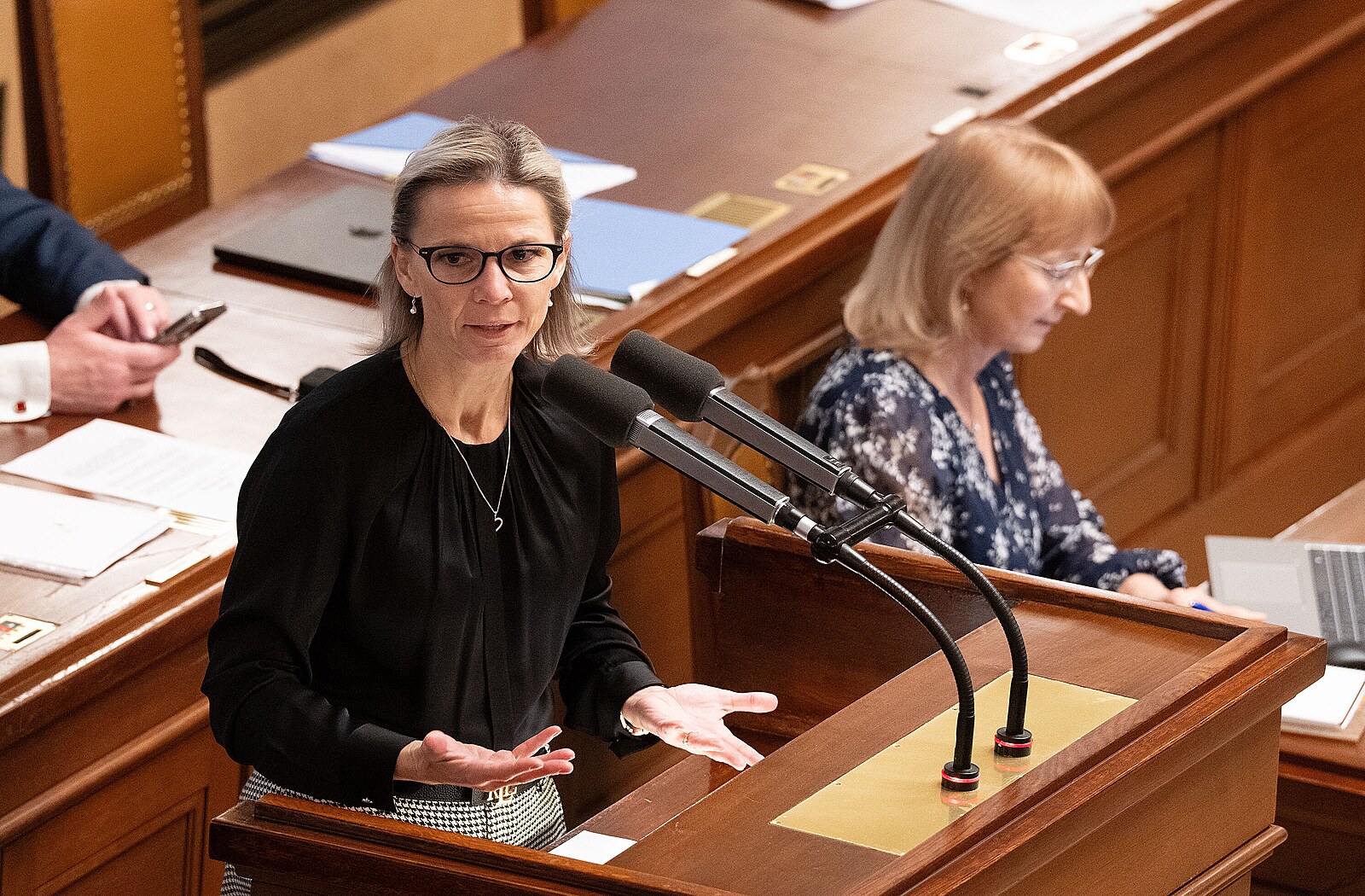Poslanci mají jednat o změně stavebního zákona, Mrázová ji chce schválit zrychleně
