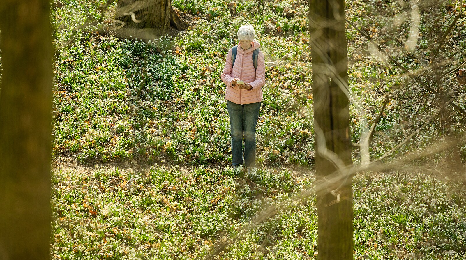 OBRAZEM: Hektary bledulí na zámku Františka Kinského, za fotkami se honí davy