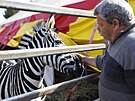 Cirkus Humberto jako jeden z posledních vystupuje i s exotickými zví�aty. Na...