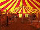 Cirkus Humberto jako jeden z posledních vystupuje i s exotickými zví�aty.