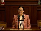 �ichta�ová navrhla zamítnutí nového zákona o digitální ekonomice
