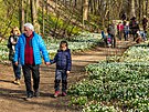 Rozkvetlý zámecký park v Kostelci nad Orlicí na Rychnovsku