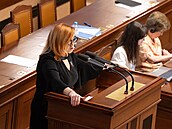 Sn�movna projednává návrh zákona o státním rozpo�tu �eské republiky na rok...