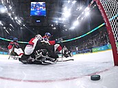 Patrik Sedlá�ek dostává t�etí gól v semifinálovém klání s USA.