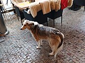 Starom�stské nám�stí