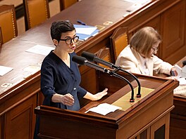 Sn�movna projednává návrh zákona o státním rozpo�tu �eské republiky na rok...