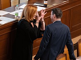 Sn�movna projednává návrh zákona o státním rozpo�tu �eské republiky na rok...