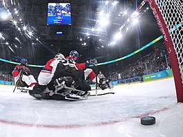 Patrik Sedlá�ek dostává t�etí gól v semifinálovém klání s USA.