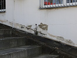 Stav m�stského stadionu v Srbské ulici v Brn� v b�eznu 2026