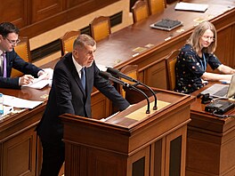 Pravidelné ústní interpelace na �leny vlády. Na snímku premiér Andrej Babi�...